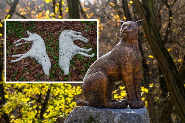 Ilustračný obrázok k článku Nie je to len o živých zvieratách: ZOO Bratislava prináša do areálu ďalšie umelecké diela