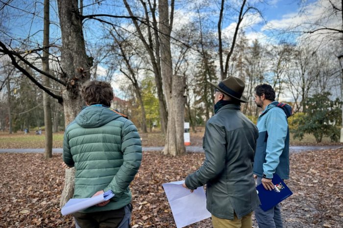 Ilustračný obrázok k článku Aký bude OSUD bystrického parku? Zasadne ROZŠÍRENÝ poradný tím k REVITALIZÁCII