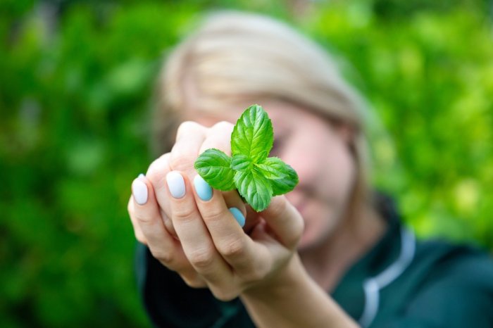 Ilustračný obrázok k článku Chladivý reset: Malé rituály, ktoré osviežia myseľ