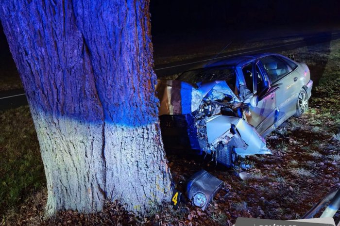 Ilustračný obrázok k článku Pri Bardejovských kúpeľoch došlo k tragédii: Muž sa na Vianoce nevrátil po náraze do stromu