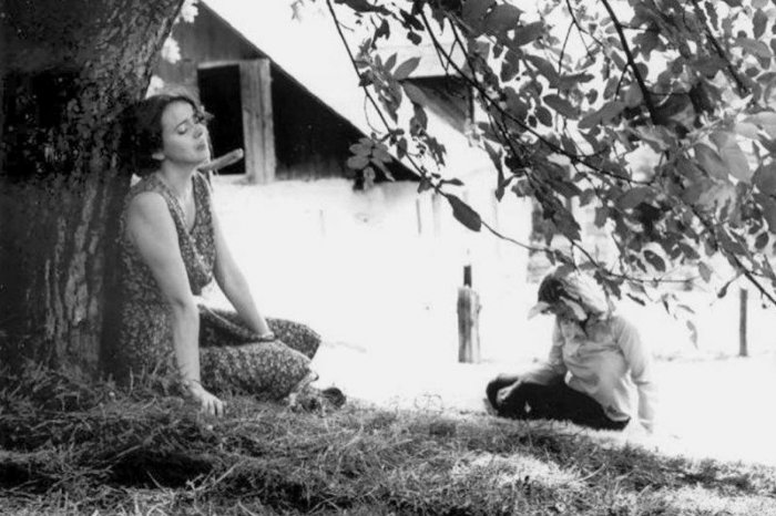 Ilustračný obrázok k článku LEGENDÁRNE dialógy a perly: TOP hlášky z filmu východniarov Pásla kone na betóne