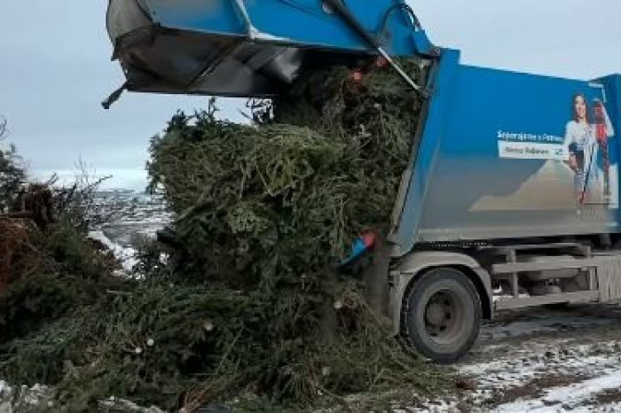 Ilustračný obrázok k článku VIANOČNÉ stromčeky dostali NOVÝ zmysel: Pozrite, ako poslúžia po sviatkoch, VIDEO