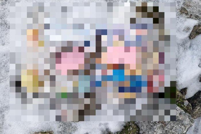 Ilustračný obrázok k článku DOJEMNÉ gesto v centre mesta: Neznámy DARCA urobil čosi krásne, FOTO vnútri