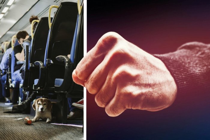 Ilustračný obrázok k článku BRUTÁLNY útok: Sofiu (17) s priateľom ZMLÁTILI vo vlaku! Kopance do brucha a hlavy