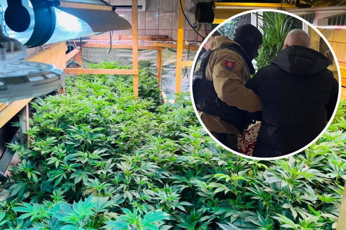Ilustračný obrázok k článku MEGA zásah polície: Objavili OBROVSKÉ drogové laboratórium! FOTO
