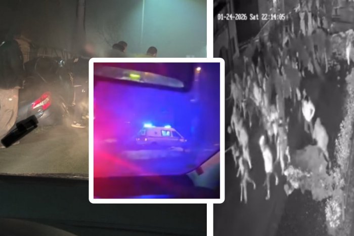 Ilustračný obrázok k článku Letisko pripomínalo BOJISKO: MLÁTILI sa fanúšikovia! ZATKLI takmer 100 ľudí