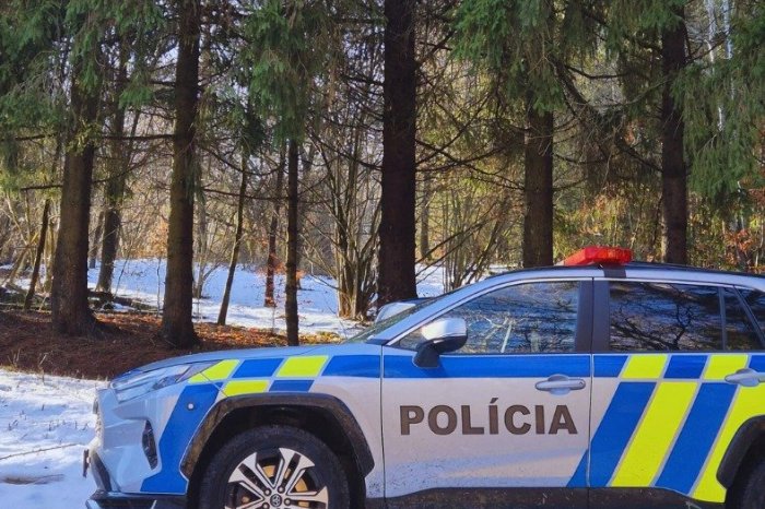 Ilustračný obrázok k článku TRAGÉDIA pri ťažbe dreva: Záchranári už VÁŽNE zranenému mužovi NEDOKÁZALI pomôcť