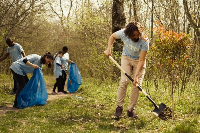 Ilustračný obrázok k článku Kraj ocení Ekologický čin roka: Víťaz získa 1 500 eur!
