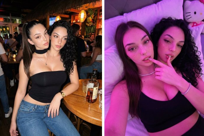 Ilustračný obrázok k článku Krásne siamské dvojičky pobláznili celý svet: Má to však háčik! Je to PODVOD