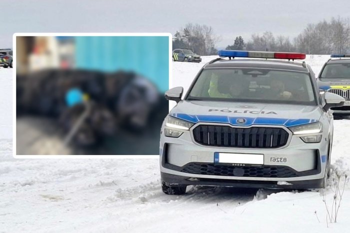 Ilustračný obrázok k článku OHAVNÝ prípad: Muž priviazal psa, BIL ho a 7-krát ho strelil vzduchovkou do hlavy