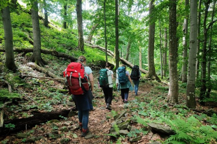 Ilustračný obrázok k článku Je tu snaha rozvíjať Poloniny ako centrum zdravia: Mohli by sa stať klimatickými kúpeľmi