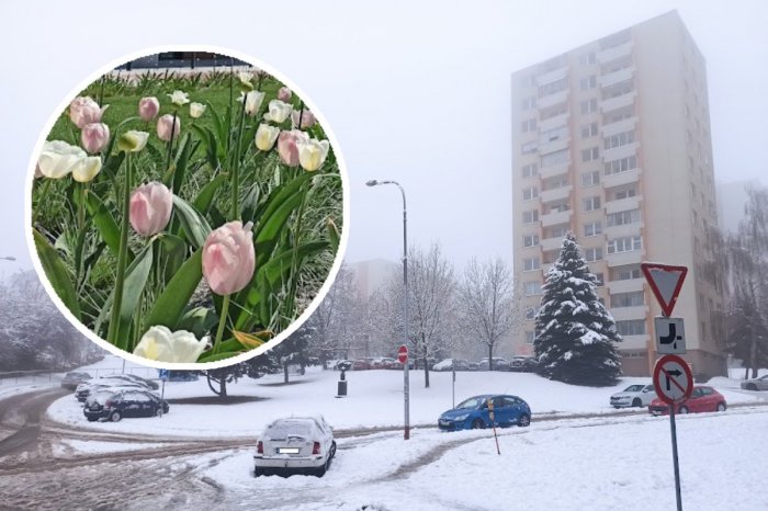 Ilustračný obrázok k článku Na Slovensko môže udrieť zima a SNEH! Rozhodujúci bude TENTO dátum