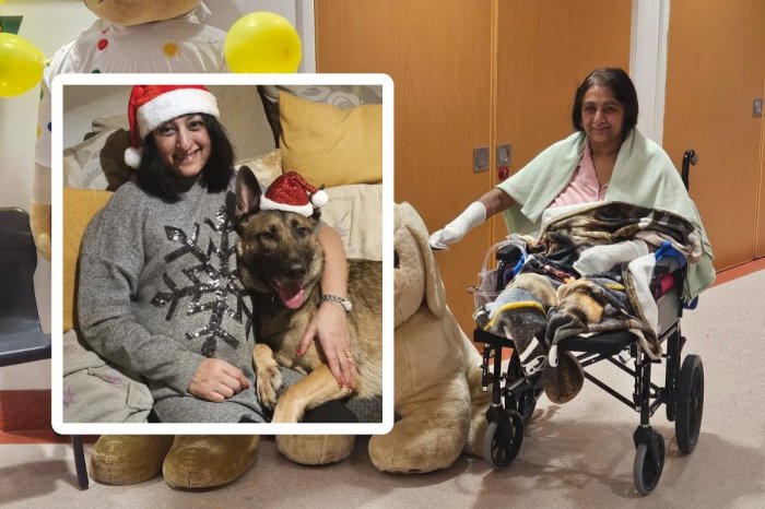 Ilustračný obrázok k článku Obliznutie psom malo pre ženu STRAŠNÉ následky: ZÁSTAVY srdca a AMPUTÁCIA rúk aj nôh!