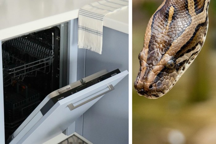 Ilustračný obrázok k článku BIZARNÝ zásah hasičov u susedov: Zachraňovali PYTÓNA! Zasekol sa v UMÝVAČKE