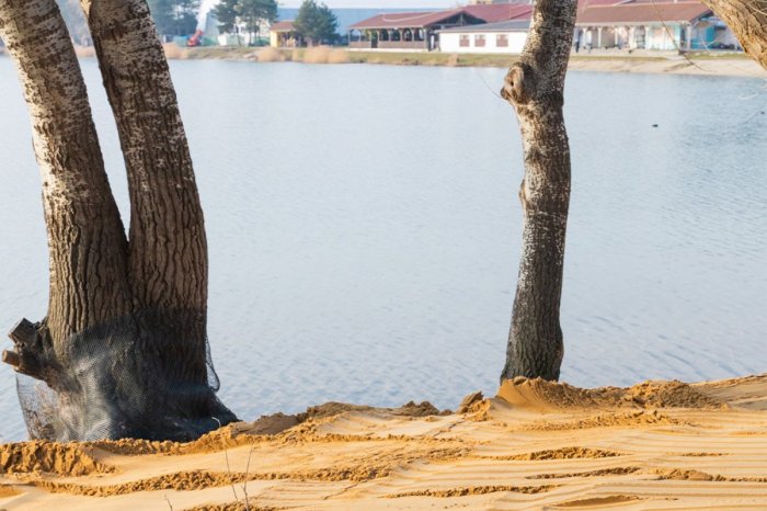 Ilustračný obrázok k článku Draždiak sa MENÍ na letnú destináciu: Vzniká tam nová PIESKOVÁ pláž!