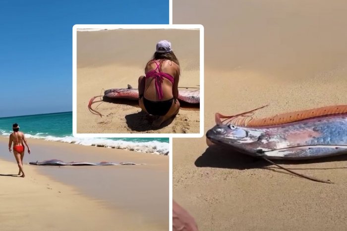 Ilustračný obrázok k článku Na pláž vyplavilo ryby SÚDNEHO dňa: Povery hovoria o blížiacej sa KATASTROFE