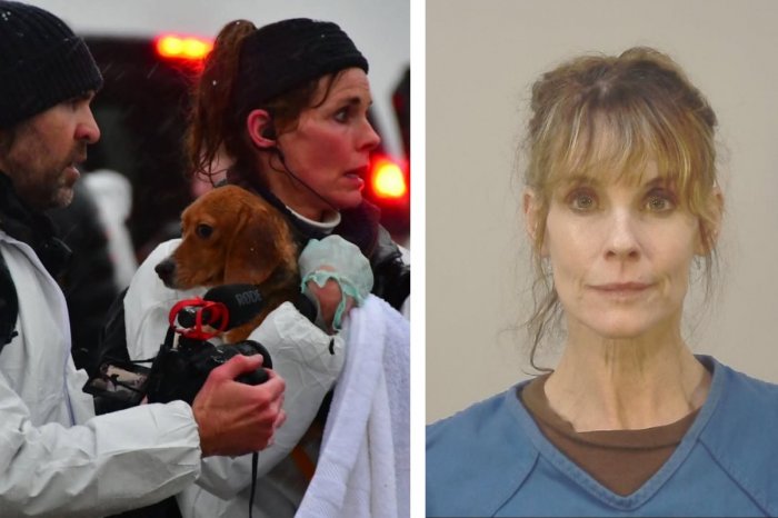 Ilustračný obrázok k článku Hviezda Pobrežnej hliadky lieta v PROBLÉMOCH: Zatkli ju policajti! Čo sa stalo?