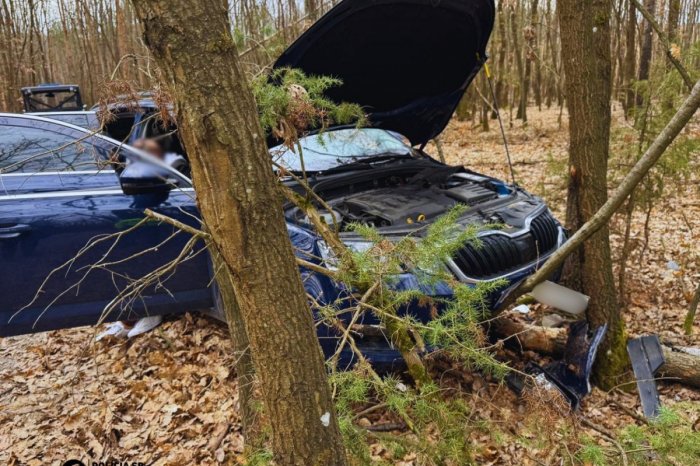 Ilustračný obrázok k článku SKRATKA cez les OPITEJ vodičke nevyšla: Skončila v LESNOM poraste!