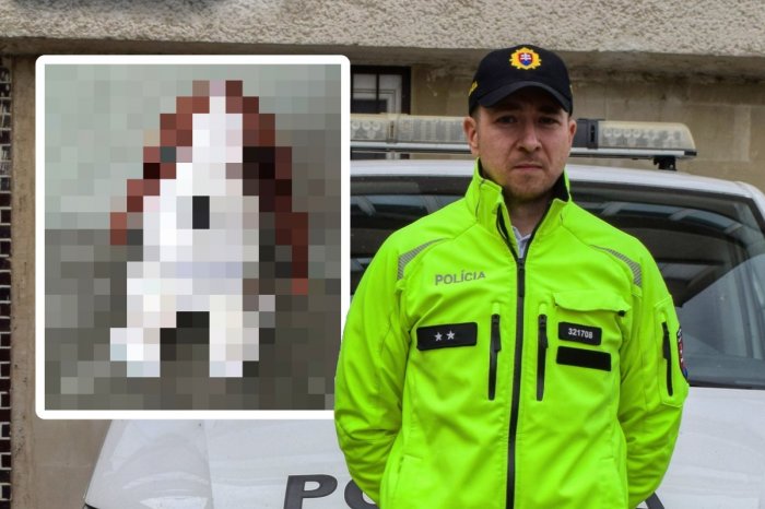 Ilustračný obrázok k článku Policajt ZACHRÁNIL situáciu! Obrovské ĎAKUJEM, reaguje mama 2-ročnej dcérky