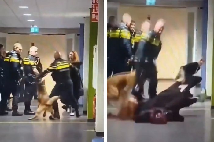Ilustračný obrázok k článku Zásah policajtov POBÚRIL celý svet: Na zem šmarili TEHOTNÚ ženu! VIDEO