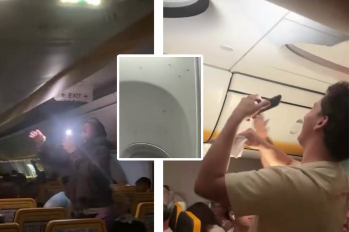 Ilustračný obrázok k článku PANIKA na palube lietadla Ryanair: ROJ komárov! Odlet museli ZRUŠIŤ