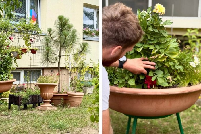 Ilustračný obrázok k článku Bystričania ukázali svoju pýchu: Do SÚŤAŽE prihlásili 40 nádherných predzáhradiek, FOTO