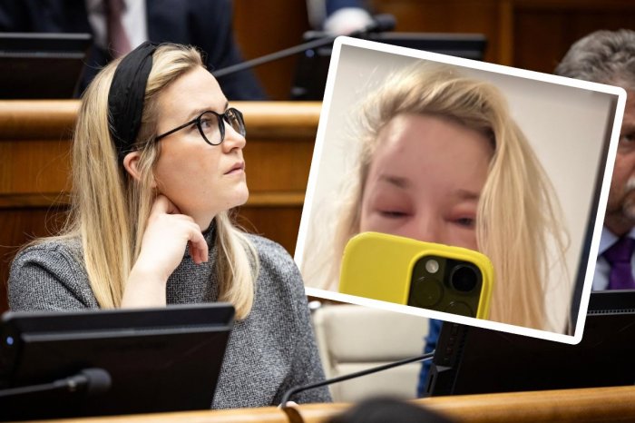 Ilustračný obrázok k článku STRACH slovenskej poslankyne: S vážnymi problémami skončila na URGENTE!