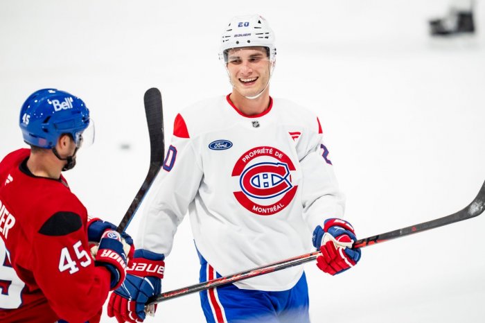 Ilustračný obrázok k článku Aké sú platy Slovákov v NHL? Slafkovský má na DEŇ viac ako bežný človek zarobí za rok