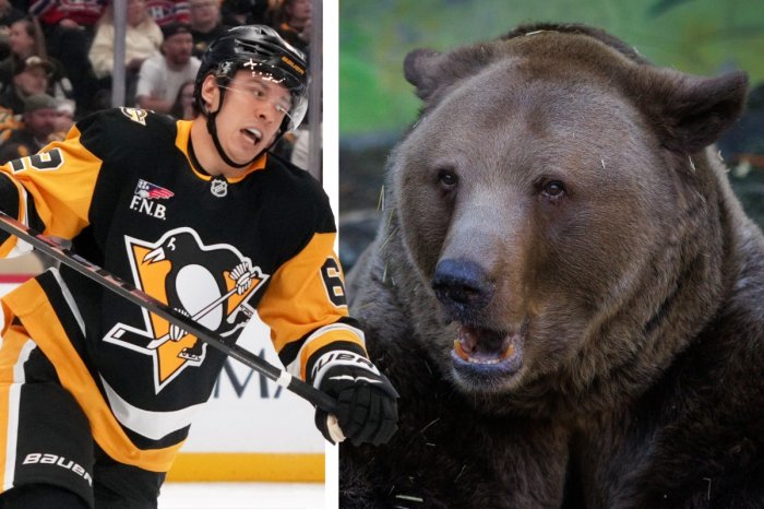 Ilustračný obrázok k článku Hokejista prehovoril o tragédii: Hráčovi NHL medveď ZABIL otca! So šelmou BOJOVAL
