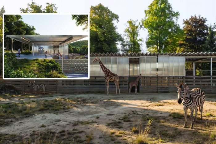 Ilustračný obrázok k článku SMELÉ plány! ZOO Bratislava chce vybudovať NOVÝ výbeh pre žirafy, zebry a pštrosy