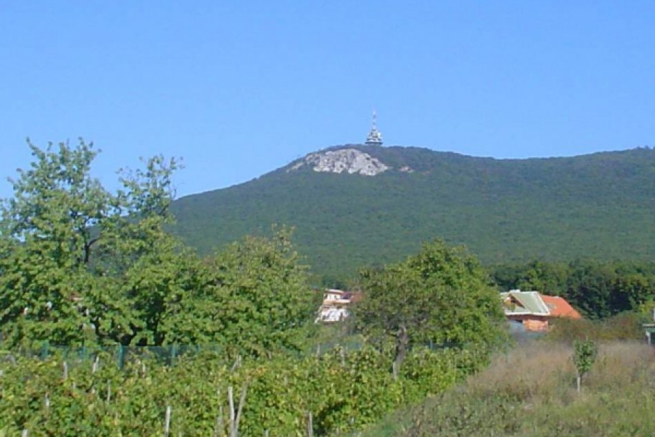 zobor