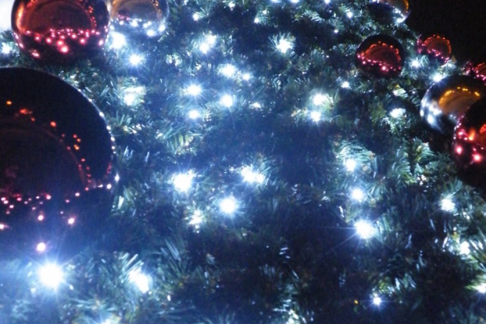 Stromcek pred Centrom