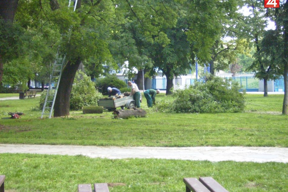 uz sa nemusite bat ist do parku