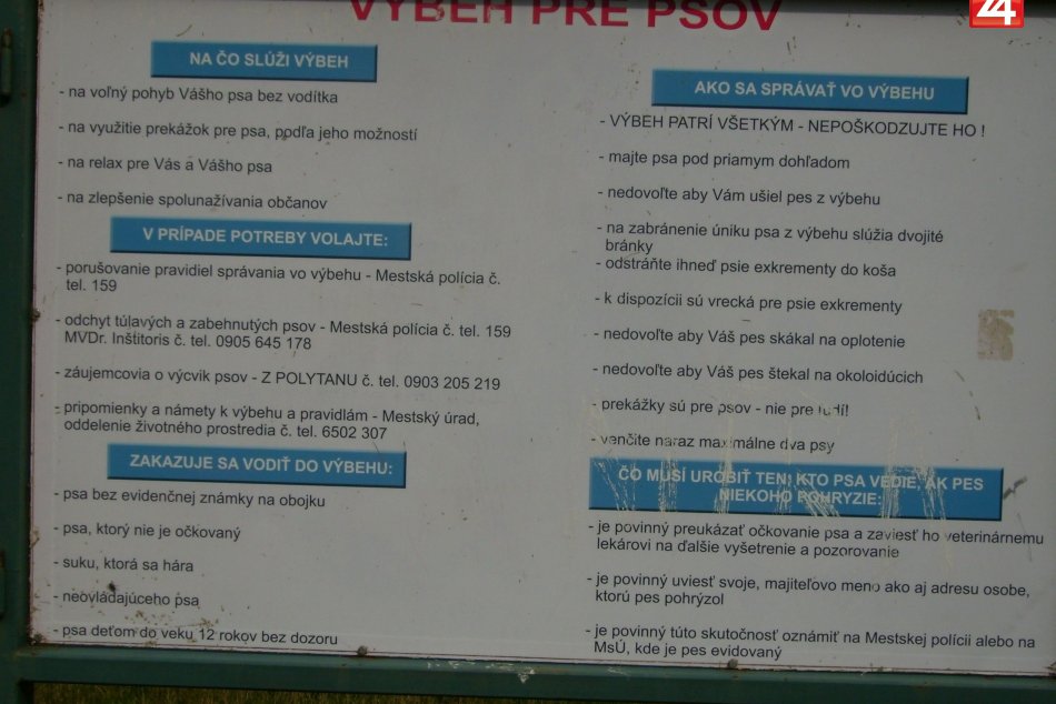 pozor do coho stupite