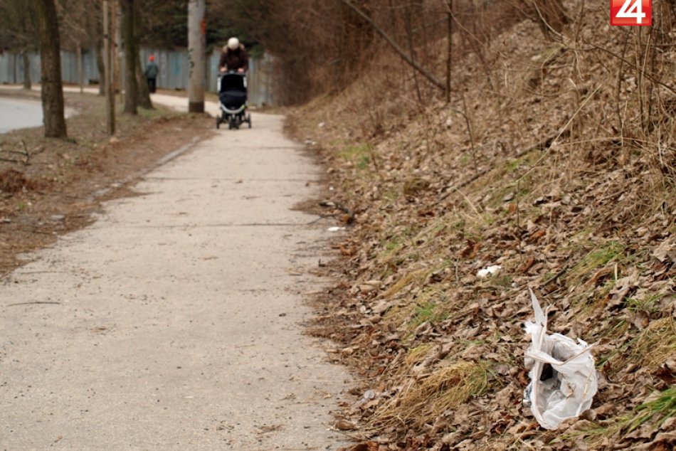 lampiony_stastia_bordel