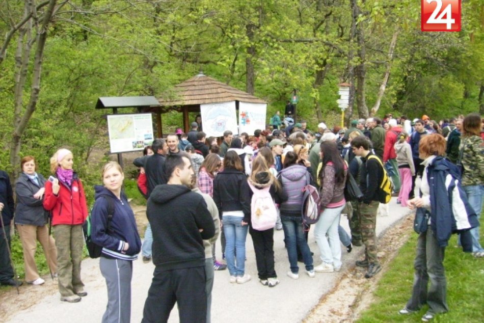 jarne cistenie zobora