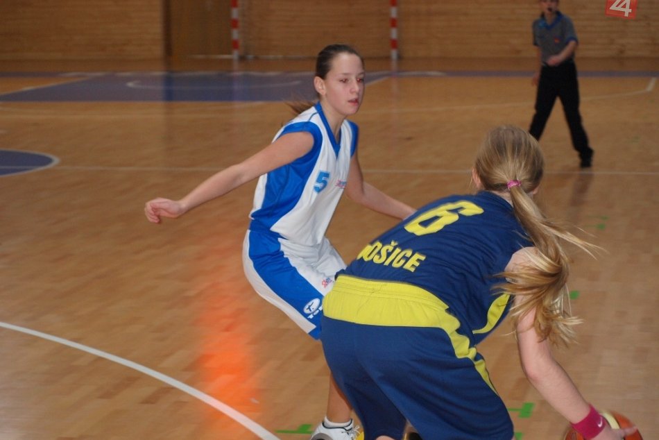 basket_ziacky_rv_danax