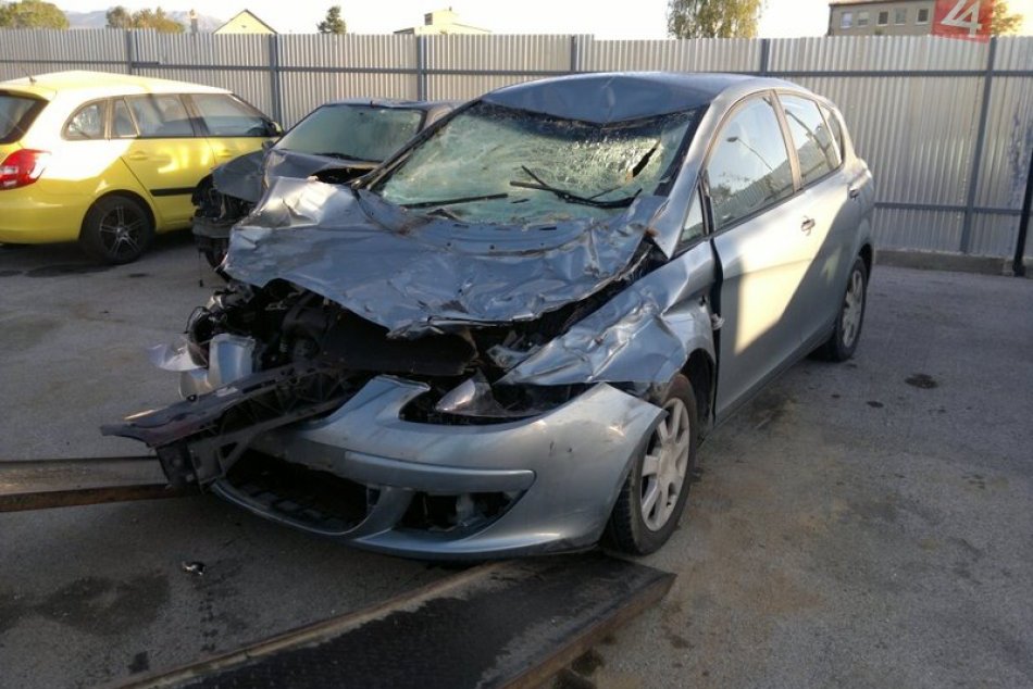 Kravy behali po diaľnici. Spôsobili hromadnú nehodu!