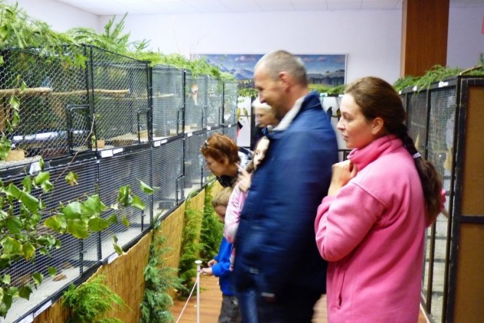 Nádherné operence sa dočasne usadili v múzeu