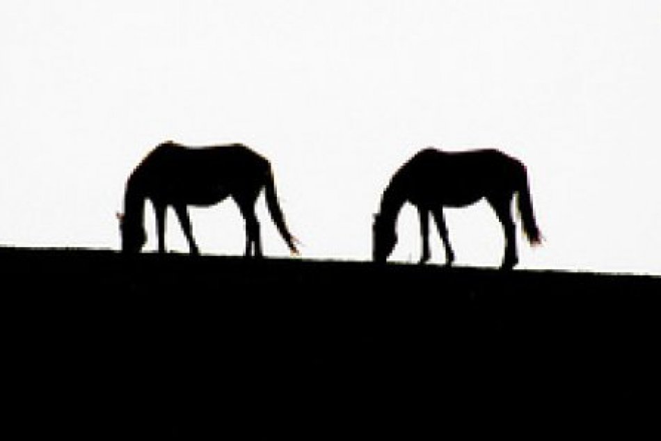 Tomáš Gríger z TEDxNitra: Išiel som inou cestou