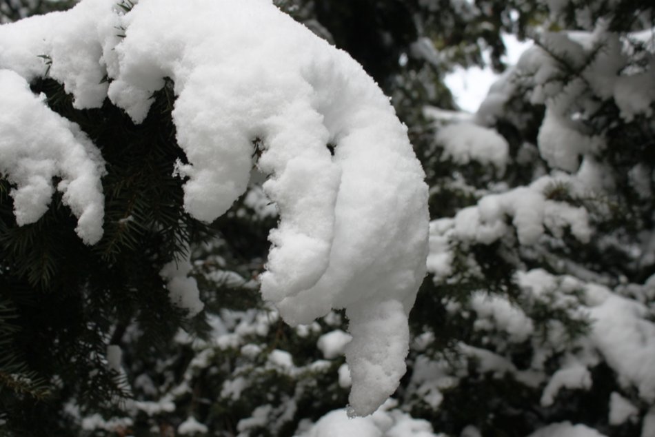Zima v Liptovskom Mikuláši