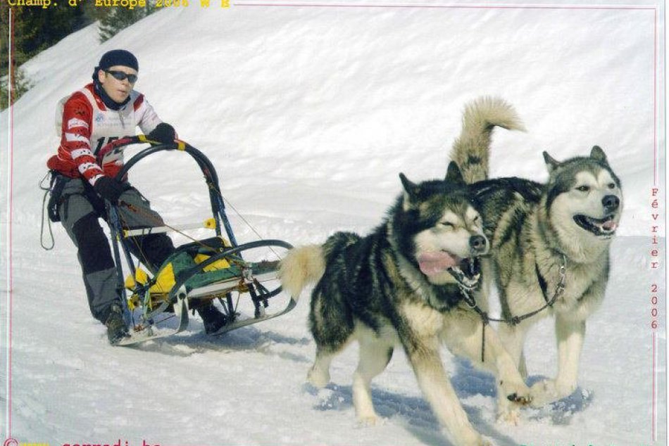 Psie záprahy sú pre mňa môj život, prezradil vicemajster sveta Vladimír Morávek