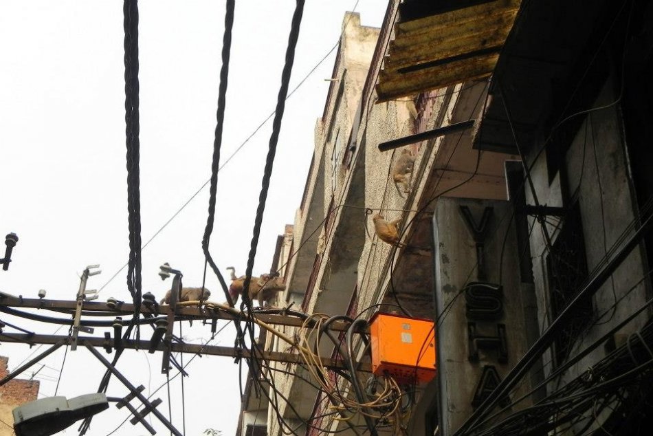 INDIA OČAMI LIPTÁKOV