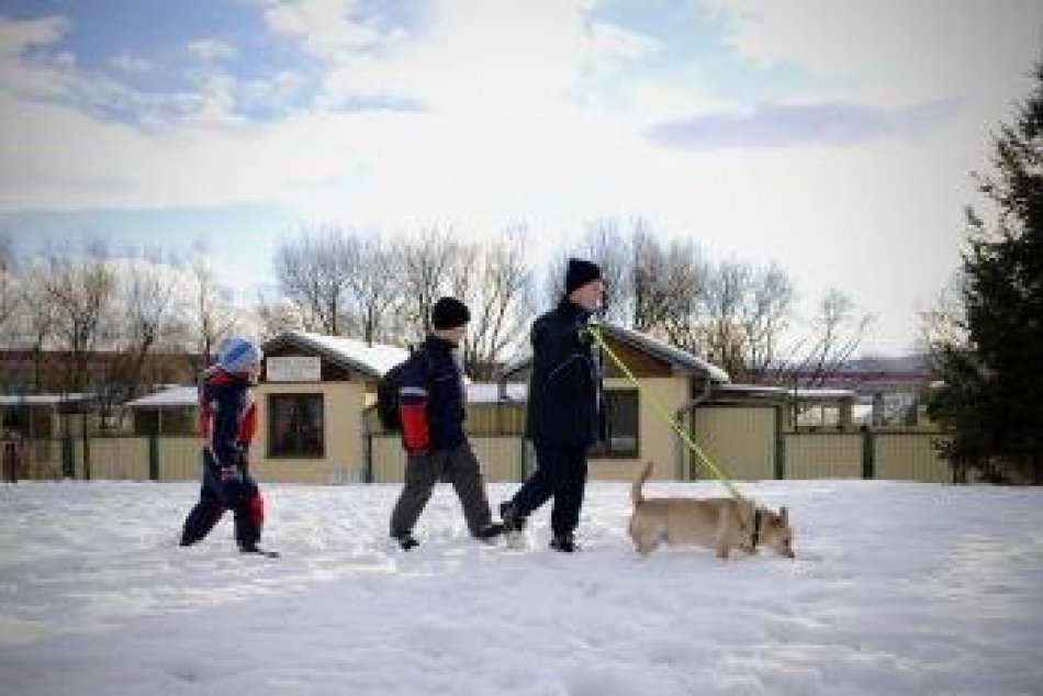 Vianoce mali aj psy v útulku. Od ľudí dostali všelijaké dobroty