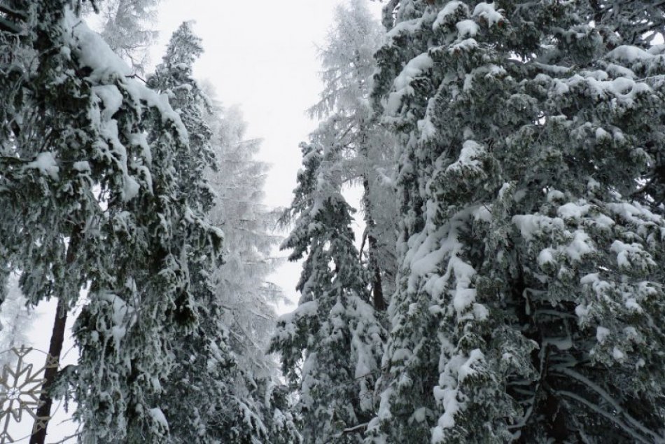 Štrbské Pleso - nedeľa 20. januára 2013