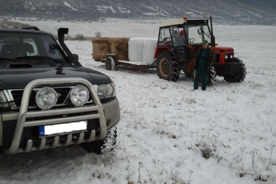 Lesníci sa starajú o lesnú zver aj v zime