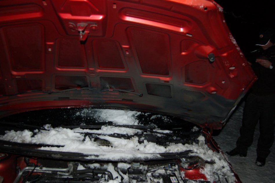 Zhorené auto_Trstené