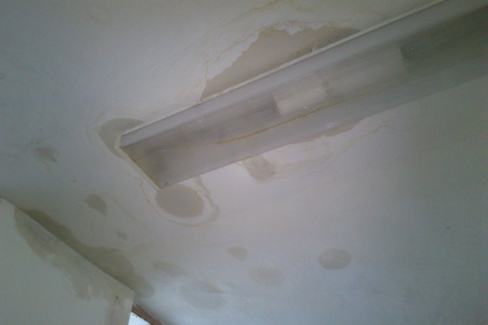 Rozhnevaný rodič: V hudobnej škole zateká do tried, bojím sa o zdravie svojho di