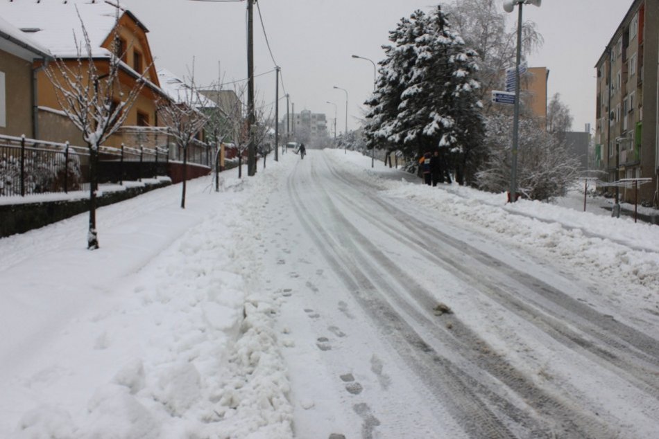 Snehová kalamita v Hlohovci