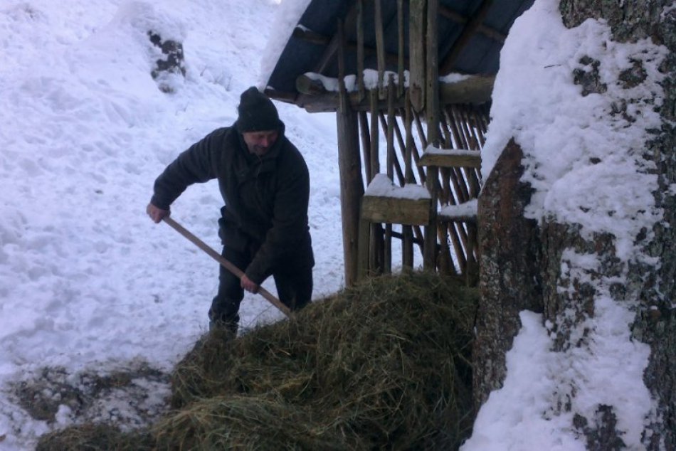 Mestské lesy Ružomberok